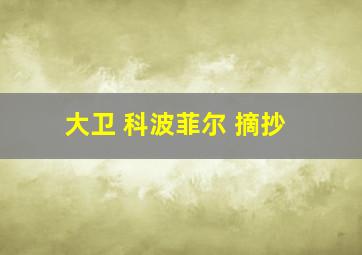 大卫 科波菲尔 摘抄